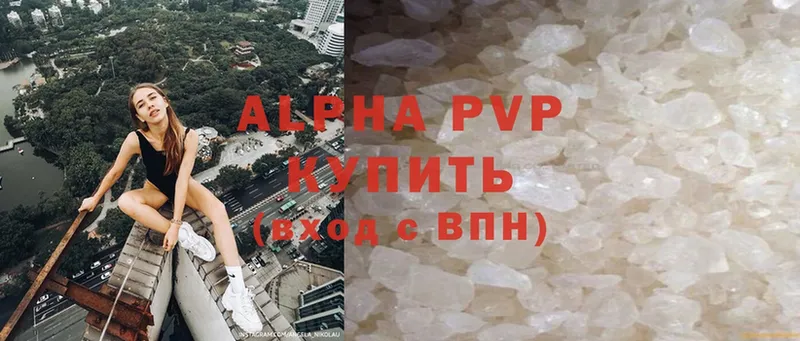 Alpha-PVP СК  блэк спрут маркетплейс  Порхов 